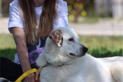 45910aa8-d3a1-47f5-8700-783114ff1501