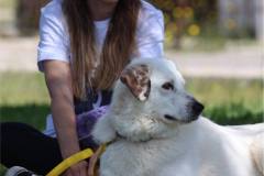 7377442f-42cf-4fb8-b15f-a9fcef321d9e