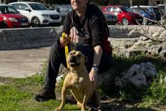 ΜΠΟΥΛΙΤΣΑ2