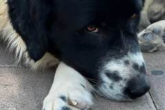 IMG-20260301-WA0036