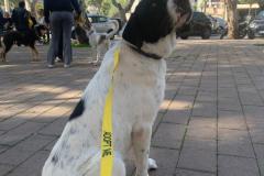 IMG-20260208-WA0086