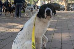 IMG-20260208-WA0087