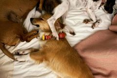 Αρχείο-εικόνας-WhatsApp-2023-09-25-στις-13.44.21_6486e4f3