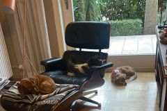 Αρχείο-εικόνας-WhatsApp-2023-12-07-στις-09.37.07_33e4c769