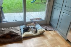 Αρχείο-εικόνας-WhatsApp-2023-12-21-στις-12.14.21_2658b885