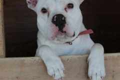 473617185_623483180194650_8896040866754064568_n