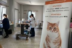 WhatsApp-Image-2026-04-28-at-11.08.30