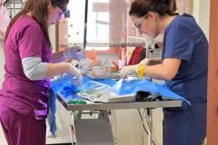 WhatsApp-Image-2026-04-28-at-11.08.31-3