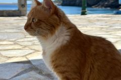 WhatsApp-Image-2026-04-28-at-11.08.32-1