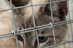 WhatsApp-Image-2026-04-28-at-11.08.32