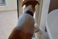 εικόνα_Viber_2026-04-03_11-02-59-778