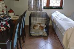 εικόνα_Viber_2026-04-03_11-03-59-877