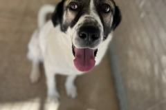 viber_image_2025-10-28_18-39-21-418-1