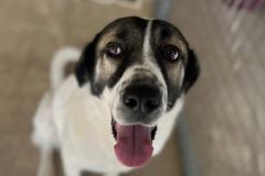 viber_image_2025-10-28_18-39-21-418-1