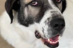 viber_image_2025-10-28_18-39-23-394-1