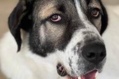 viber_image_2025-10-28_18-39-23-394-1