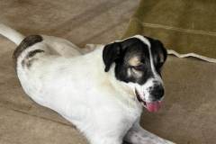 viber_image_2025-10-28_18-39-25-122-1