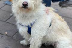 614642904_1299496225542598_5775469565677917828_n