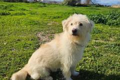 614940646_1299502692208618_1691914786754158376_n