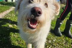 615682872_1299496278875926_5654477409968913753_n