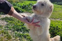 615728144_1299496275542593_256454307393365839_n