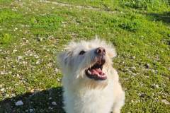 616343709_1299496282209259_8314311372361463104_n