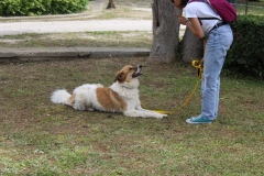 20230514115540_IMG_0247