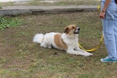 20230514115546_IMG_0251