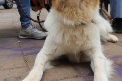 20230617123650_IMG_1256