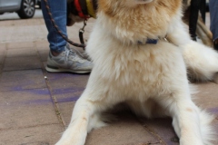 20230617123650_IMG_1257