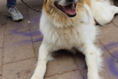 20230617123659_IMG_1262