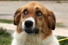 336411421_207355221900969_1346377919997130164_n