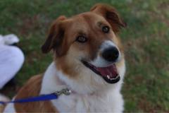 8c50ef00-ca60-4e83-97d5-8275ce7a7b27