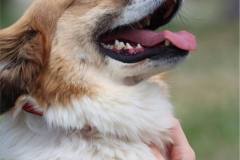 cbb5339d-8129-4120-80b2-425d367220f3