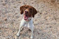 IMG-3a86b57e487d1ab82791e538f58d7386-V