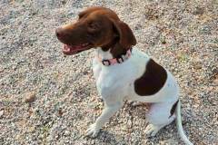 IMG-8719a2b17fca8309a556f1696ac5484a-V