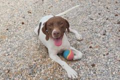 IMG-f0fb1687c1c546240337ffb4780eaf7f-V