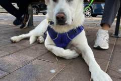 31aa0627-440c-47f0-a805-c8790807bbfa