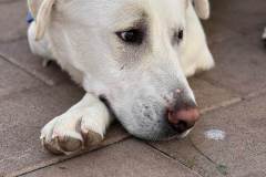 586927855_1263061762519378_2618622121087017584_n