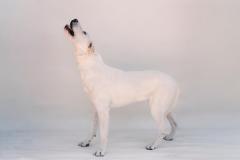 587103362_1263061922519362_8800999380237794458_n