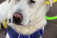 587345346_1263062709185950_8469852793597439627_n