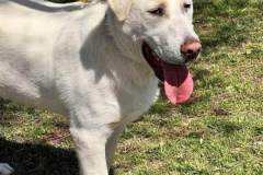 589835469_1263062732519281_453192726817095430_n