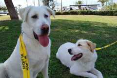 589909983_1263061802519374_8414367191649170634_n