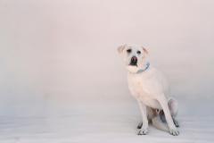 589966092_1263061912519363_1228954662924290823_n