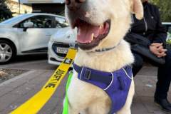 589969663_1263061799186041_7976516854128007800_n