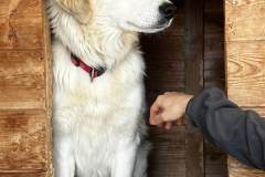 IMG-20260301-WA0053-1