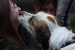 17360350-f014-49c4-8bf8-b05eba469ff6