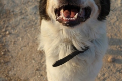 20230630191025_IMG_1444