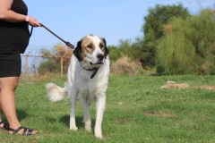 20230917093309_IMG_3009