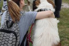 336240855_761694125388819_6092985724795069941_n